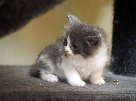 Qualito am 28.05.2025